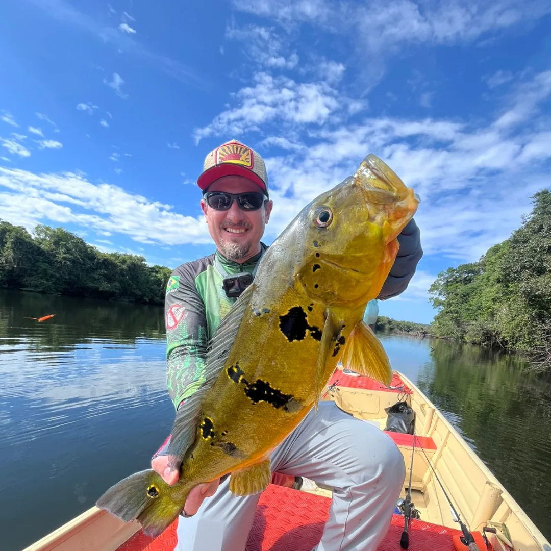 Pescador com vara e tucunaré capturado nos rios da Triple Borders Lodge